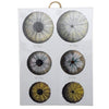Danny's Fine Porcelain Home Decor Danny's Fine Porcelain Porcelain Rectangular Wall Hanging - Shell One [limited Edition] - CLOSEOUT SAMPLE SALE