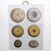 Danny's Fine Porcelain Home Decor Danny's Fine Porcelain Porcelain Rectangular Wall Hanging - Shell One [limited Edition] - CLOSEOUT SAMPLE SALE
