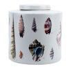 Danny's Fine Porcelain Home Decor Danny's Fine Porcelain Porcelain Round Jar - Shells One [limited - CLOSEOUT SAMPLE SALE