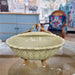 Danny's Fine Porcelain Home Decor Danny's Fine Porcelain Porcelain Shell Dish with Bronze Accent- Dotty