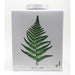 Danny's Fine Porcelain Home Decor Danny's Fine Porcelain Porcelain Square Jar - [Limited Edition] 60744