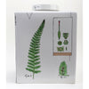 Danny's Fine Porcelain Home Decor Danny's Fine Porcelain Porcelain Square Jar - [Limited Edition] 60744
