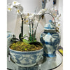 Danny's Fine Porcelain Home Decor Danny's Fine Porcelain Porcelain Temple Jar - Blue And White Mud Stepping Style 51100