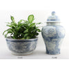 Danny's Fine Porcelain Home Decor Danny's Fine Porcelain Porcelain Temple Jar - Blue And White Mud Stepping Style 51100
