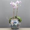 Danny's Fine Porcelain Home Decor Danny's Fine Porcelain Pot 50582