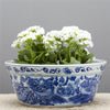 Danny's Fine Porcelain Home Decor Danny's Fine Porcelain Round Basin- Blue And White(Classic) 50355