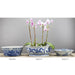 Danny's Fine Porcelain Home Decor Danny's Fine Porcelain Round Basin- Blue And White(Classic) 50355