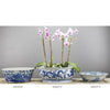 Danny's Fine Porcelain Home Decor Danny's Fine Porcelain Round Basin- Blue And White(Classic) 50355