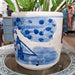Danny's Fine Porcelain Home Decor Danny's Fine Porcelain Round Bucket-Classic Blue And White 50440