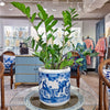 Danny's Fine Porcelain Home Decor Danny's Fine Porcelain Round Bucket-Classic Blue And White 50440