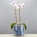 Danny's Fine Porcelain Home Decor Danny's Fine Porcelain Round Bucket- Classic Blue & White