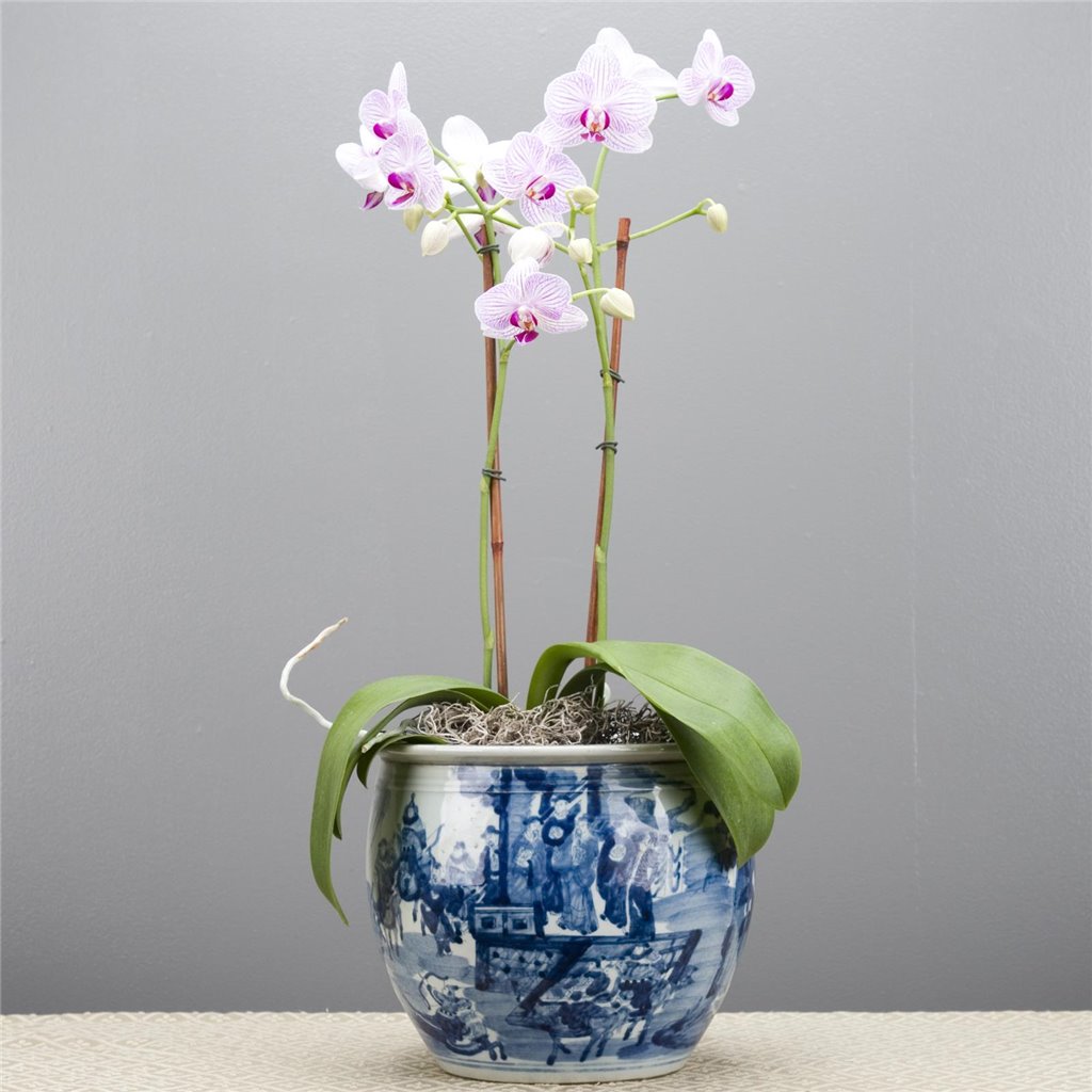 Danny's Fine Porcelain Home Decor Danny's Fine Porcelain Round Planter - Classic Blue & White