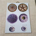 Danny's Fine Porcelain Home Decor Danny's Fine Porcelain Sea Urchin Wall Artbotanical-style Wall Art Featuring Detailed Sea Urchin - CLOSEOUT SAMPLE SALE