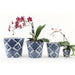 Danny's Fine Porcelain Home Decor Danny's Fine Porcelain Set of 4 Round Planter (3in; 6in; 7in;8in)