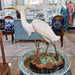 Danny's Fine Porcelain Home Decor Danny's Fine Porcelain Snowy Egret 60205