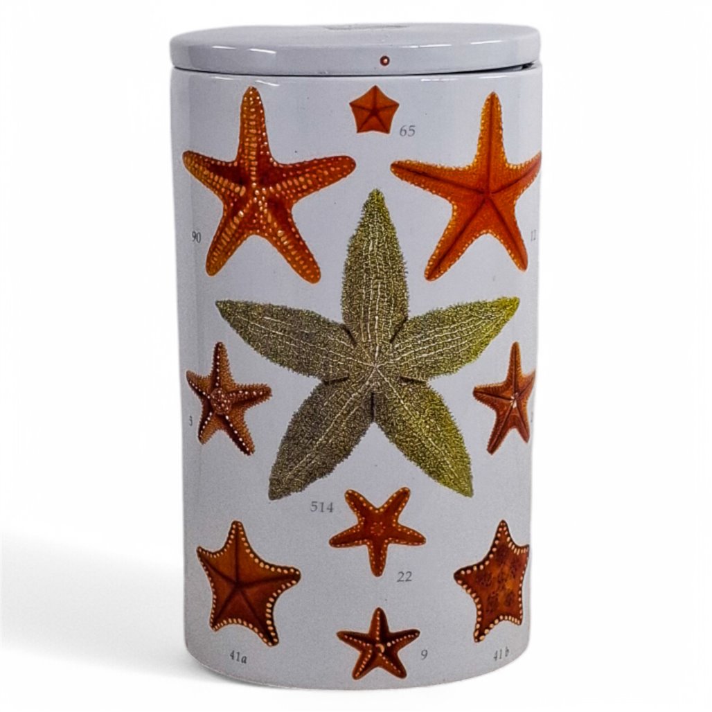 Danny's Fine Porcelain Home Decor Danny's Fine Porcelain Starfish Study Vasecylindrical White Vase Featuring Colorful - CLOSEOUT SAMPLE SALE