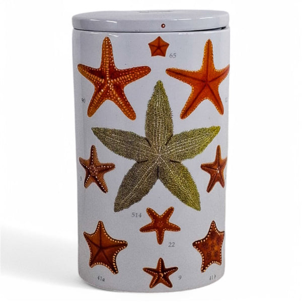 Danny's Fine Porcelain Home Decor Danny's Fine Porcelain Starfish Study Vasecylindrical White Vase Featuring Colorful - CLOSEOUT SAMPLE SALE