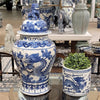 Danny's Fine Porcelain Home Decor Danny's Fine Porcelain Temple Jar - Dragons 50807