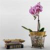 Danny's Fine Porcelain Home Decor Danny's Fine Porcelain Tray with Bronze Dragonfly-Wild Breeze