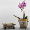 Danny's Fine Porcelain Home Decor Danny's Fine Porcelain Tray with Bronze Dragonfly-Wild Breeze