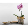 Danny's Fine Porcelain Home Decor Danny's Fine Porcelain Tray with Bronze Dragonfly-Wild Breeze