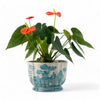 Danny's Fine Porcelain Home Decor Danny's Fine Porcelain Turquoise and White Willow Pattern Round Scallop Planter