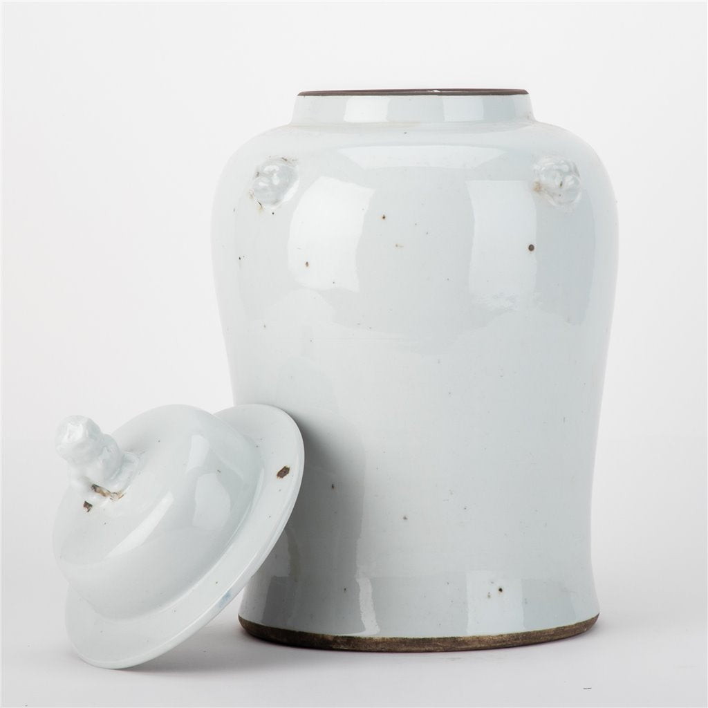 Danny's Fine Porcelain Home Decor Danny's Fine Porcelain White Antique Finish Foo Dogs Temple Jar