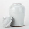 Danny's Fine Porcelain Home Decor Danny's Fine Porcelain White Antique Finish Foo Dogs Temple Jar