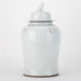 Danny's Fine Porcelain Home Decor Danny's Fine Porcelain White Antique Finish Foo Dogs Temple Jar