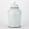 Danny's Fine Porcelain Home Decor Danny's Fine Porcelain White Antique Finish Foo Dogs Temple Jar