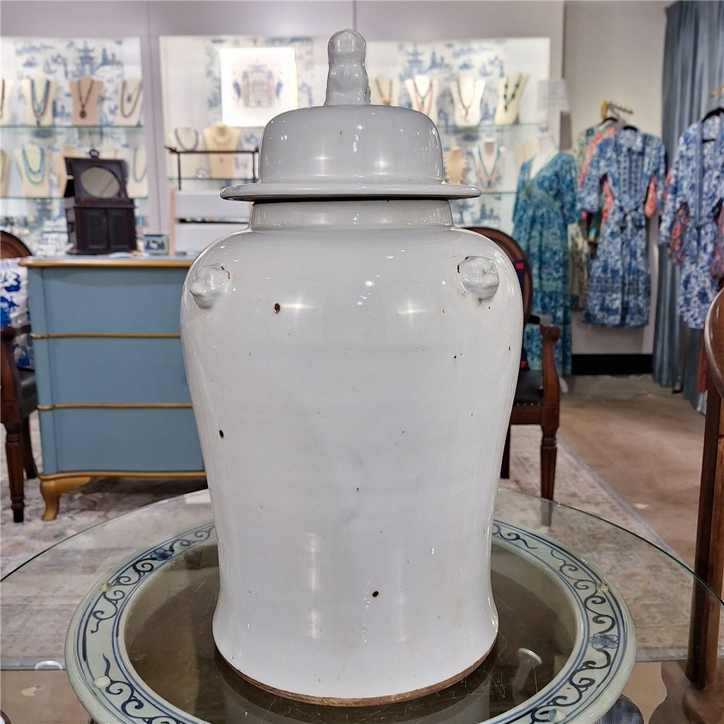 Danny's Fine Porcelain Home Decor Danny's Fine Porcelain White Antique Finish Foo Dogs Temple Jar
