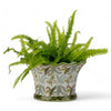 Danny's Fine Porcelain Home Decor Danny's Fine Porcelain Wine Cooler - Fern