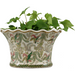 Danny's Fine Porcelain Home Decor Danny's Fine Porcelain Wine Cooler - Fern