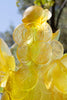 Daum Art Glass Daum Crystal Citrus Magnum Vase