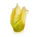 Daum Art Glass Daum Crystal Citrus Medium Vase