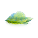 Daum Art Glass Daum Crystal MEDIUM BOWL - Fleur de Paon Exotique