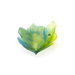 Daum Art Glass Daum Crystal MEDIUM BOWL - Fleur de Paon Exotique
