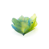 Daum Art Glass Daum Crystal MEDIUM BOWL - Fleur de Paon Exotique