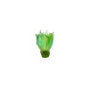 Daum Art Glass Daum Crystal Palm Beach Small Vase