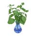 Distinctive Designs Home Decor Basil In Blue Bulb Glass Vase (Set Of 3)