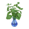 Distinctive Designs Home Decor Basil In Blue Bulb Glass Vase (Set Of 3)