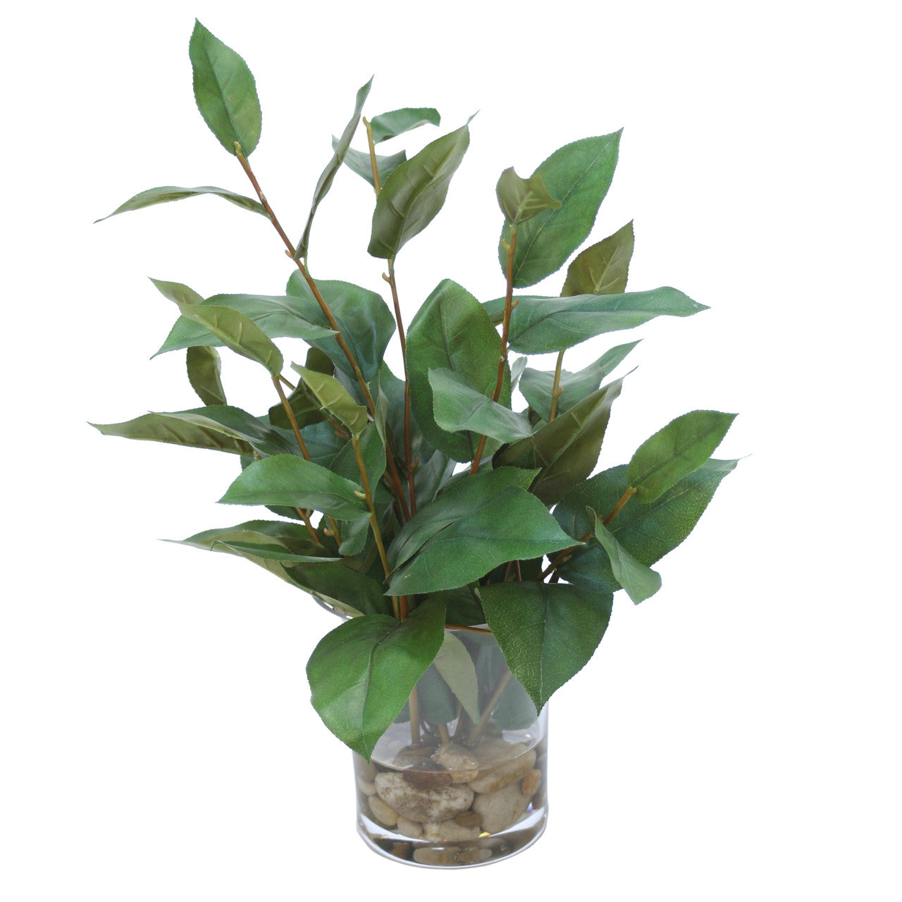 Distinctive Designs Home Decor Bayleaf In Small Flared Rounded Glass Vase