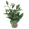 Distinctive Designs Home Decor Bayleaf In Small Flared Rounded Glass Vase