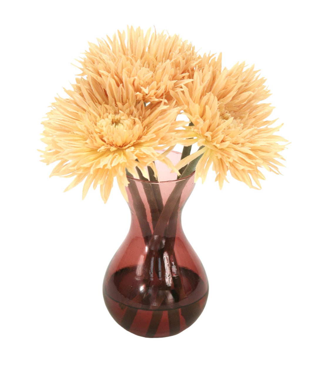 Distinctive Designs Home Decor Beige Spider Gerbera Daisies In Plum Glass Vase (Sold In Multiples Of 2)