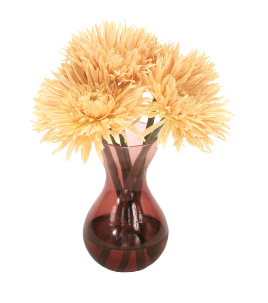Distinctive Designs Home Decor Beige Spider Gerbera Daisies In Plum Glass Vase (Sold In Multiples Of 2)