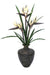Distinctive Designs Home Decor Birds Of Paradise In Vase