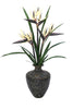 Distinctive Designs Home Decor Birds Of Paradise In Vase