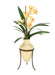 Distinctive Designs Home Decor Champagne Cymbidium Orchids In Etruscan Vase And Metal Stand