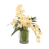 Distinctive Designs Home Decor Champagne Yellow Orchids in Moss Garden