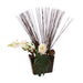 Distinctive Designs Home Decor Cymbidium Orchids With Reeds In Flared Planter